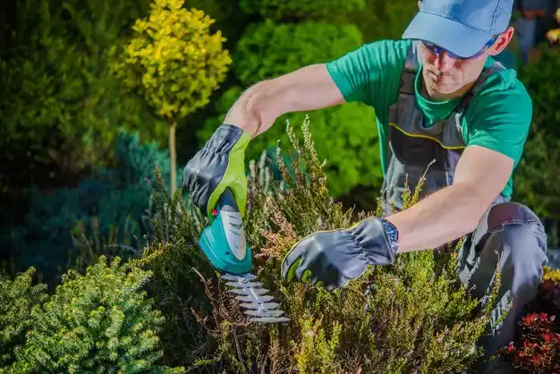 landscaping services Elton